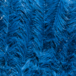 Fougeron Azul